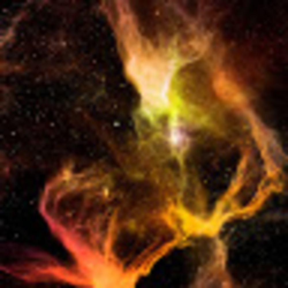 Meet your Posher, Rony